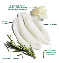 Skincare product with labeled ingredients on a white background