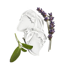 Clear gel-like substance with lavender flowers and leaves on a white background