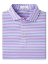 Purple striped polo on white background
