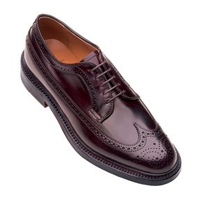 Alden Long Wing Blucher Oxford | Burgundy