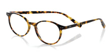eyebobs Case Closed | Tortoise